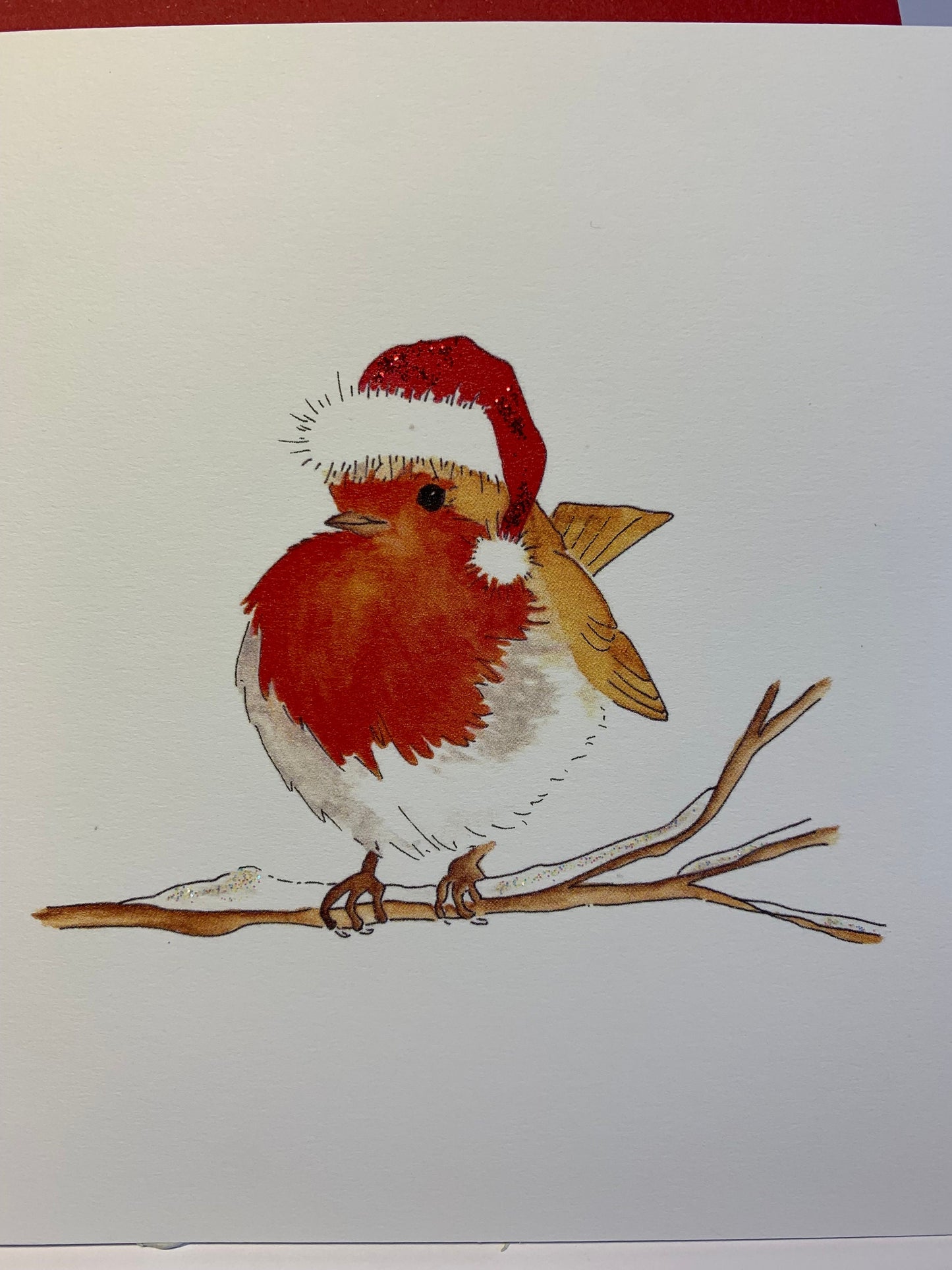 Christmas Robin in Snow