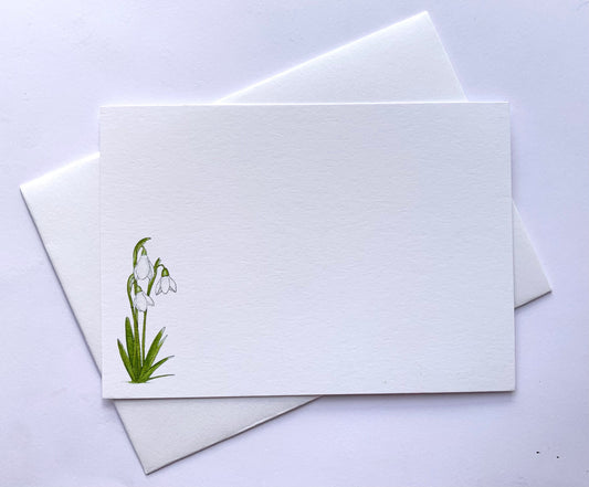 Pack of Snowdrop Notecards with Envelopes - Watercolour - Fine Quality Botanical Flower Floral Note Cards - Winter Christmas Thank You Cards