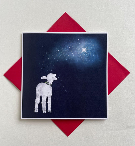 Lamb & Christmas Star